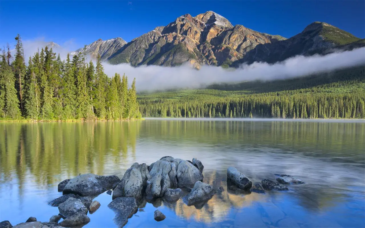 智慧高标准工业